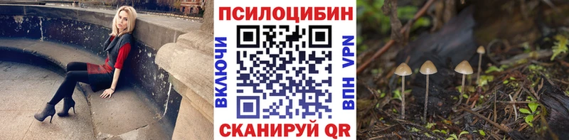 OMG зеркало  дарнет шоп  Курчатов  Псилоцибиновые грибы прущие грибы 