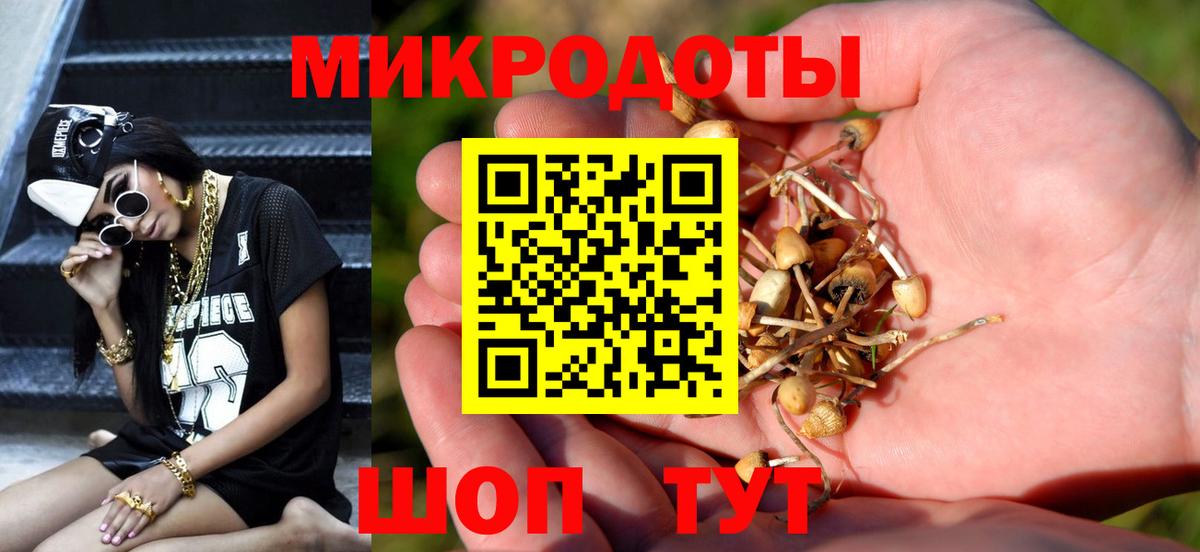 Псилоцибиновые грибы ЛСД Курчатов