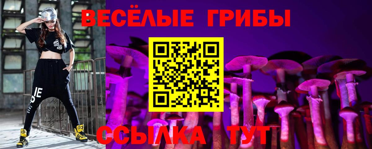 Курчатов  Псилоцибиновые грибы Psilocybine cubensis  Вход с VPN 