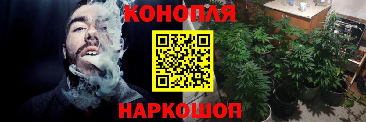 Бошки Шишки семена Курчатов